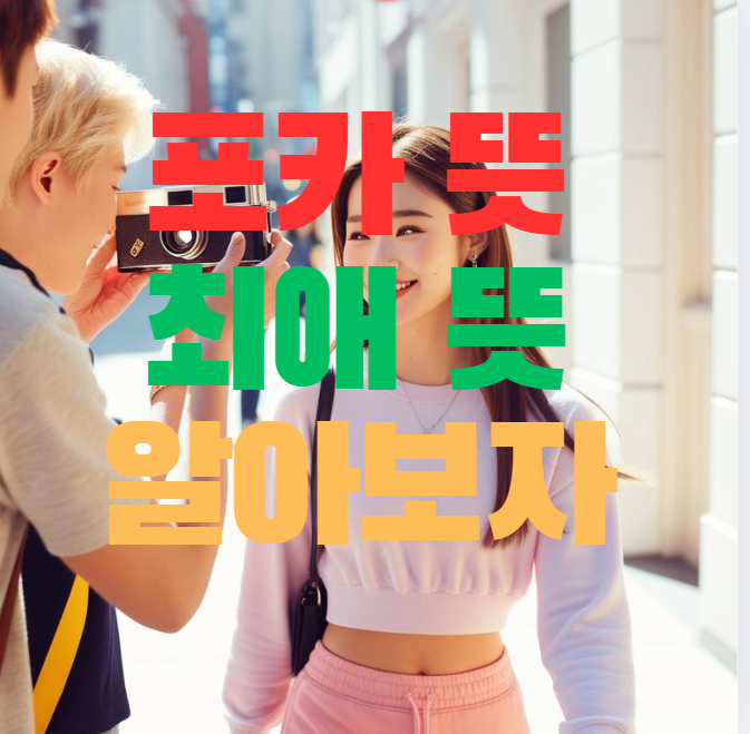  포카 뜻, 최애, 차애 뜻 알아보자