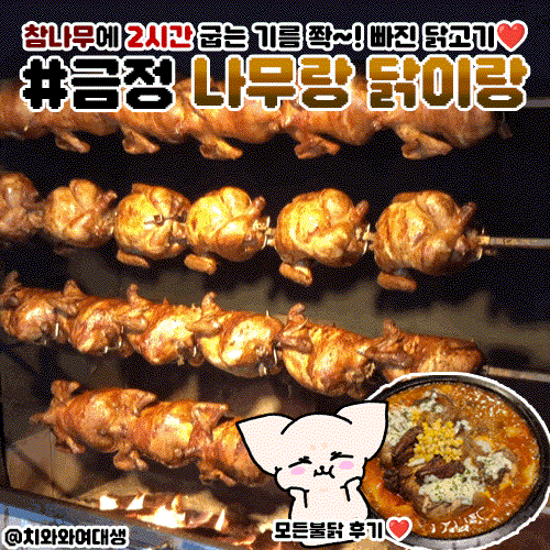  부산 금정구 구서동맛집 나무랑 닭이랑 남산동 외대 금정산 하산 찐맛집