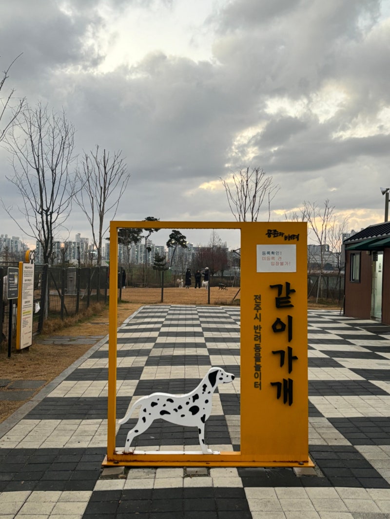 사진 4