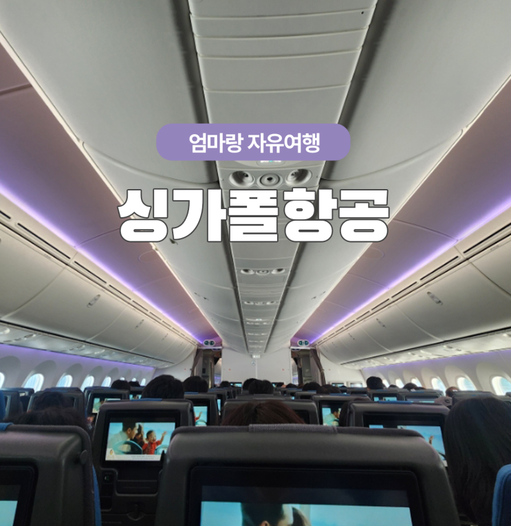  완전 만족한 엄마랑 싱가폴항공 타고 3박5일 자유여행 기내식 굳!