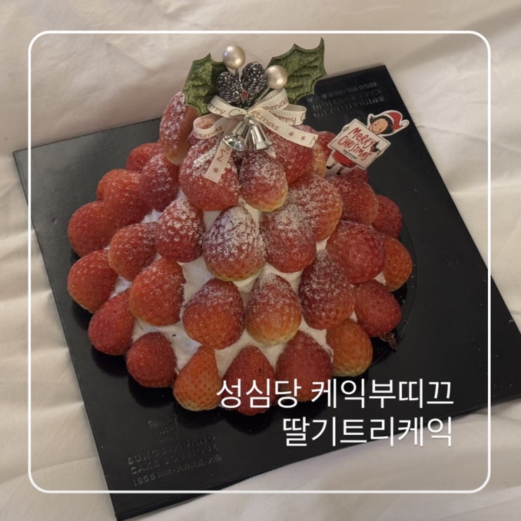  성심당케익부띠끄 크리스마스케이크 웨이팅 주차 메뉴추천 딸기트리케익