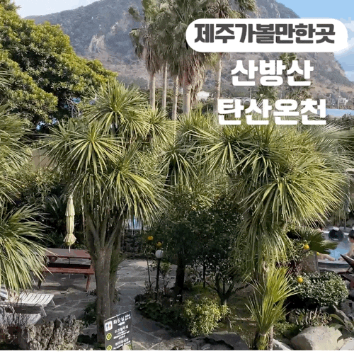  겨울 제주 가볼 만한 곳 산방산 탄산 온천 수영복 대여 가격 근처 맛집 추천