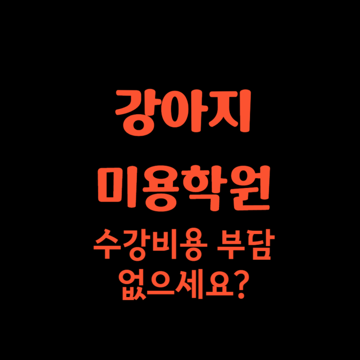  강아지미용학원 비용 부담 없다면 클릭안해도 돼요
