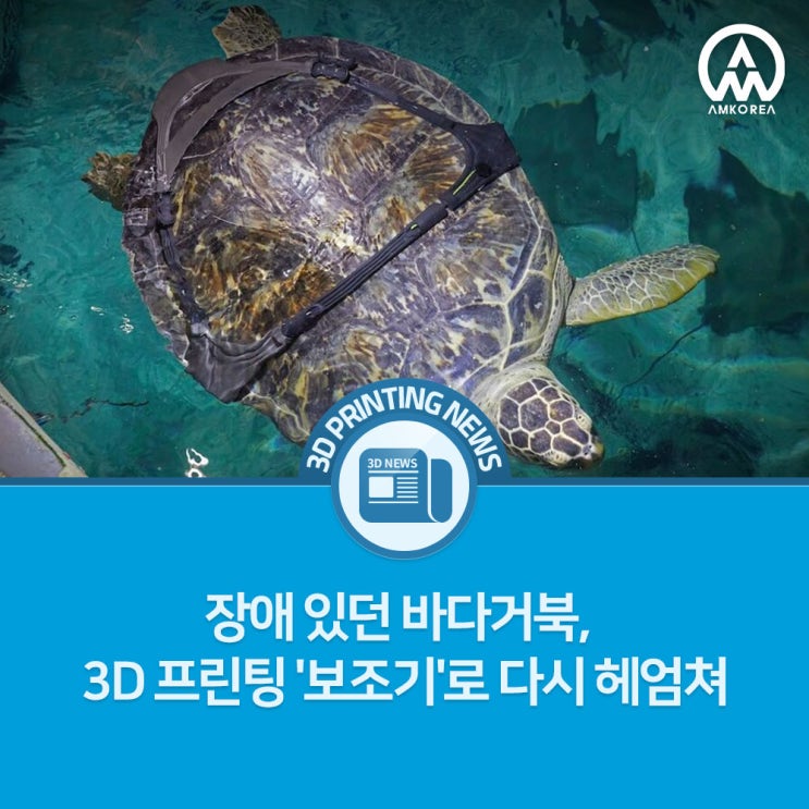  [3D프린팅 뉴스] 장애 있던 바다거북, 3D 프린팅 '보조기'로 다시 헤엄쳐