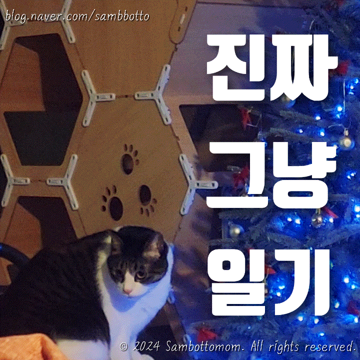  진짜 그냥 일기 | 블린이, 네이버 클립으로 조회수 터지다, 수익은? | 크리스마스 기록 | 최애 순대국집의 메뉴 변경 | 킨텍스 근처 피자집 피자오늘