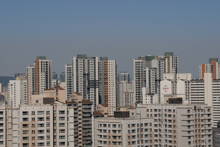 아파트 살면 전세보다 월세가 낫다고? 아파트 살면 전세보다 월세가 낫다고?
