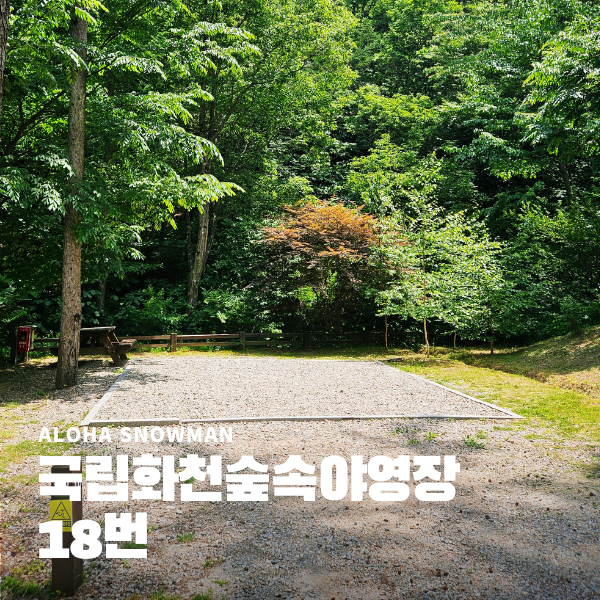  국립 화천숲속야영장 18번 파쇄석 사이트 캠핑 후기