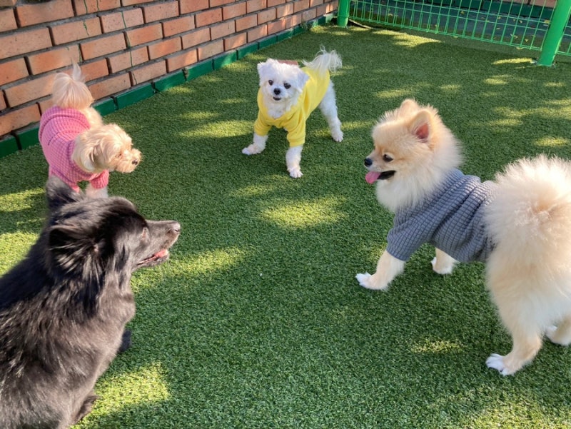 사진 2