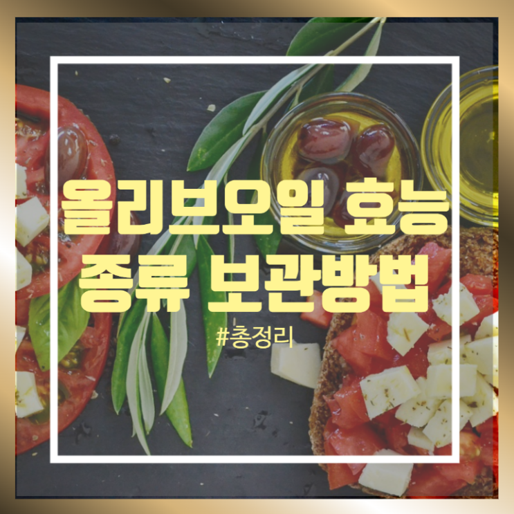 올리브오일 효능과 종류 및 올리브오일 보관방법 총정리 올리브오일 효능과 종류 및 올리브오일 보관방법 총정리
