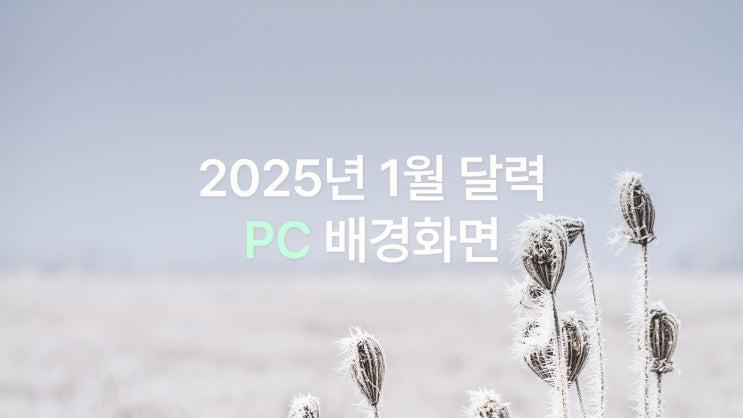  2025년 1월 달력 PC UHD 4K 겨울 감성 배경화면 6종
