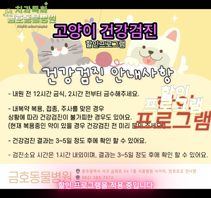  광주 고양이 건강검진 (마취 전 검사) [광주 서구 치과 동물병원, 금호동 동물병원, 금호동물병원]
