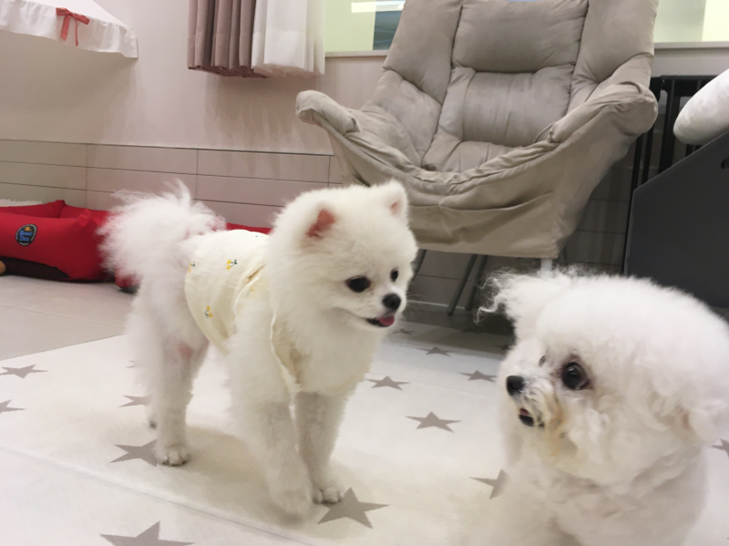 미스터 페이머스