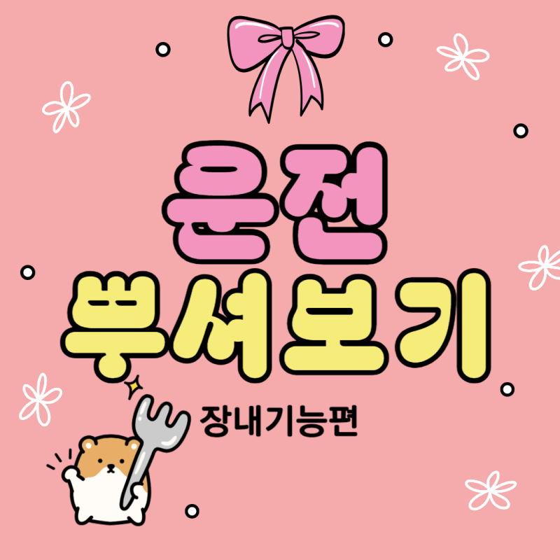 장내기능시험 코스, 합격 꿀팁 : 담양 아시아운전면허학원에서 장내기능 1종보통 한번에 붙....