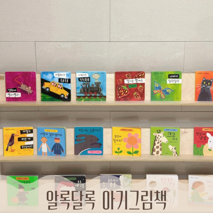  알록달록 아기그림책 세트 빼뜨르 호라체크 보드북 멜라니 월시 세바스티앵 브라운