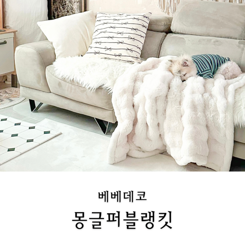 베베데코 몽글퍼블랭킷 쇼파담요 겨울극세사이불
