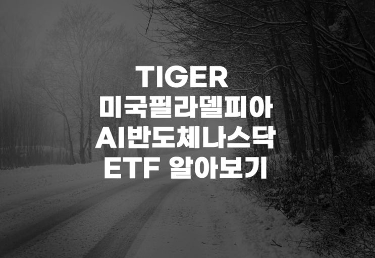  TIGER 미국필라델피아AI반도체나스닥[497570] ETF 주식 주가 비중