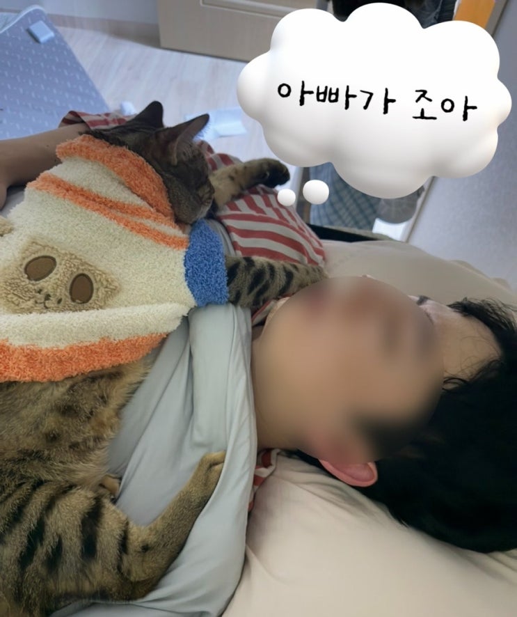  [김달이기록] 나는 아빠가 좋아 고양이