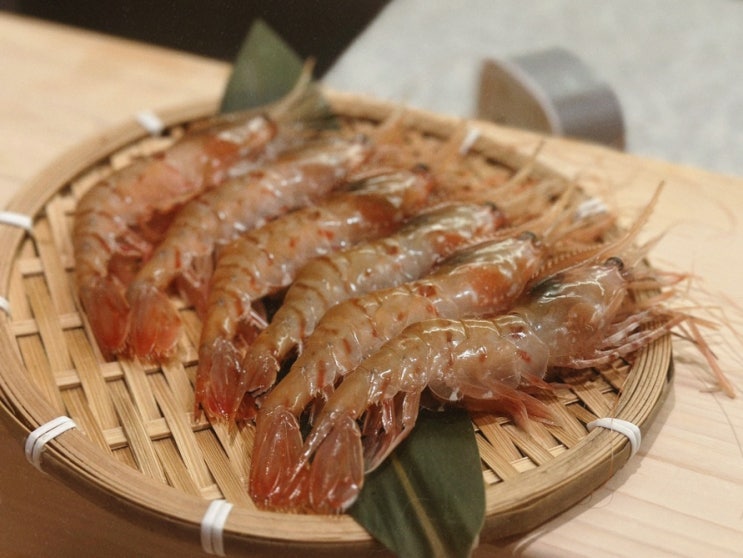  내돈내산 미들급 스시 디너오마카세 추천 스시소라 정자점