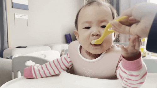 육아 선물 이유식 밀키트 퍼기식재료스타트키트 이유식 알러지 테스트 육아 선물 이유식 밀키트 퍼기식재료스타트키트 이유식 알러지 테스트