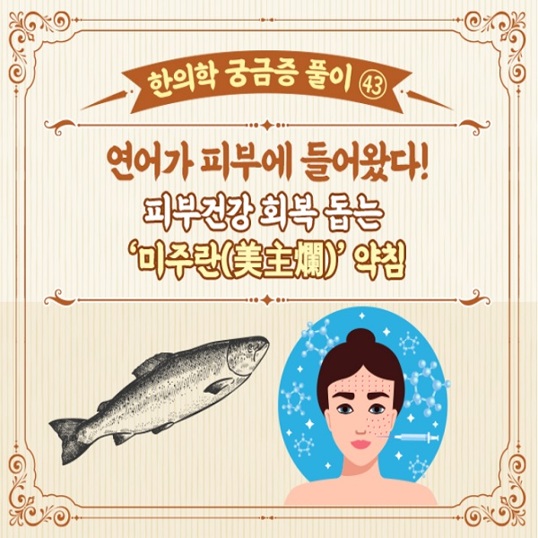  [연어 약침 궁금증 풀이]연어가 피부에 들어왔다 #약침 #주름