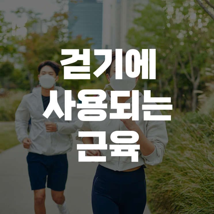 걷기 동작에 사용되는 근육과 자주 발생되는 손상 걷기 동작에 사용되는 근육과 자주 발생되는 손상