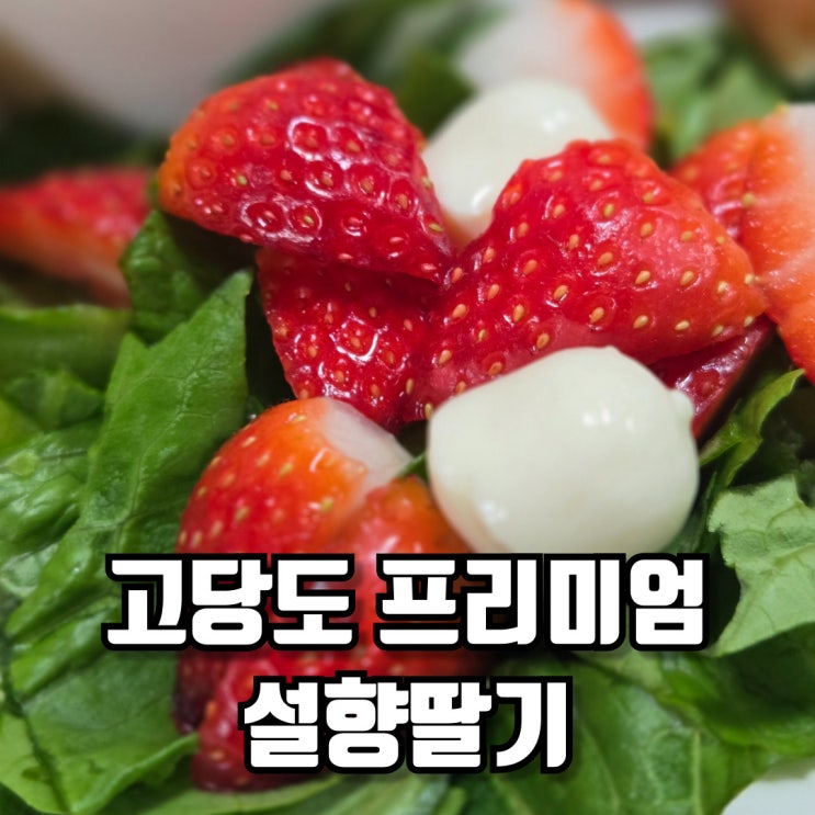  고당도 프리미엄 설향딸기 맛있어