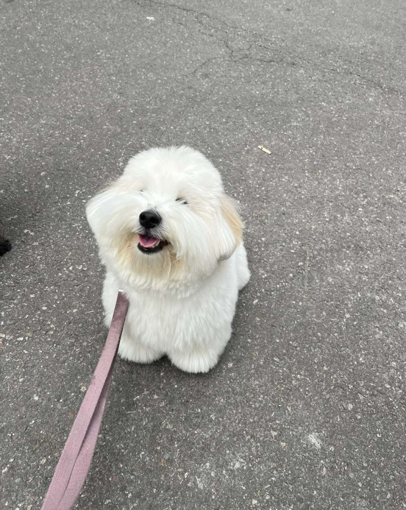 사진 2