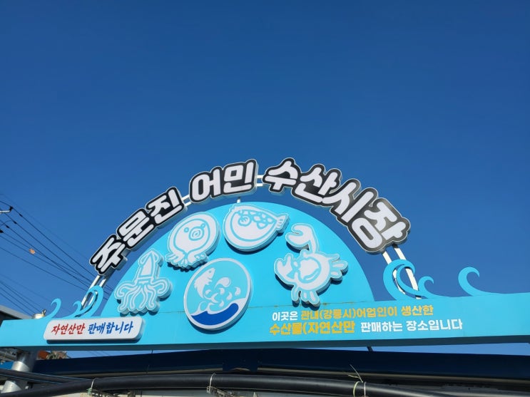 주문진 어민 수산시장_강릉 자연산 회, 홍게