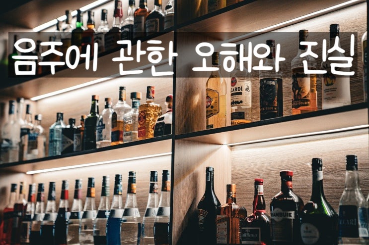  음주에 관한 오해와 진실
