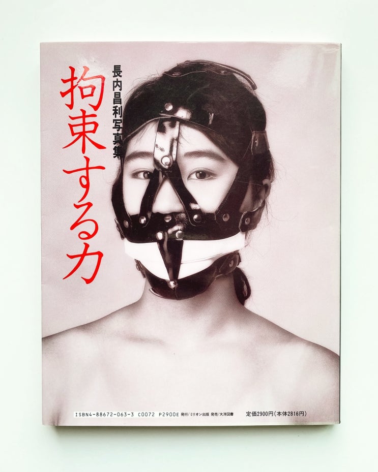  Masatoshi Osanai (오사나이 마사토시): Binding Force (1990)
