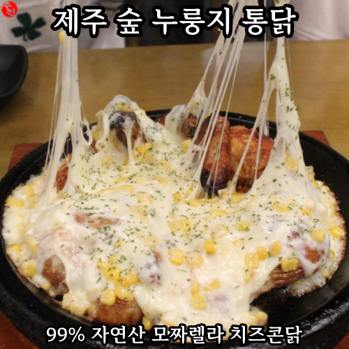 제주 전기구이통닭 맛집 외도동 제주숲누룽지통닭
