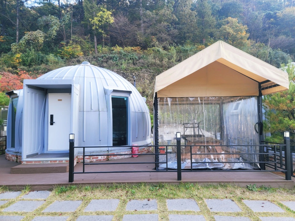캥거루랜드 사진 2