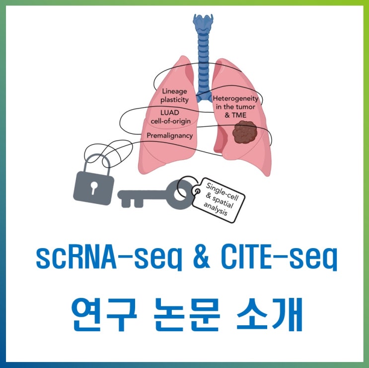  폐암 면역항암제 치료 후, 싱글셀 분석 기술로 밝혀낸 새로운 예후 바이오마커