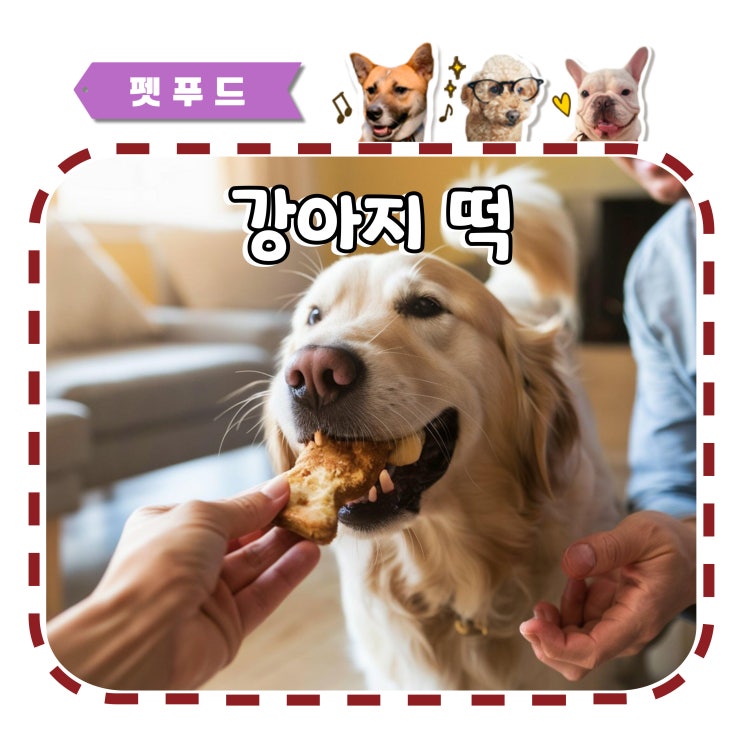  강아지 떡 먹어도 될까? 주의할 점