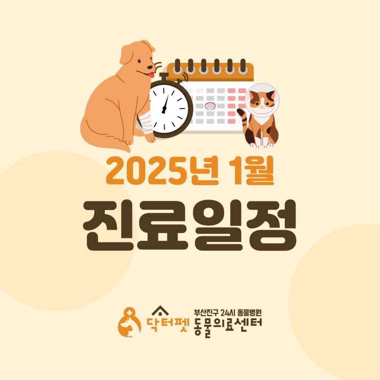  닥터펫동물의료센터 2025년 1월 진료 일정 및 스케줄 표 안내 (부산 24시 동물병원)
