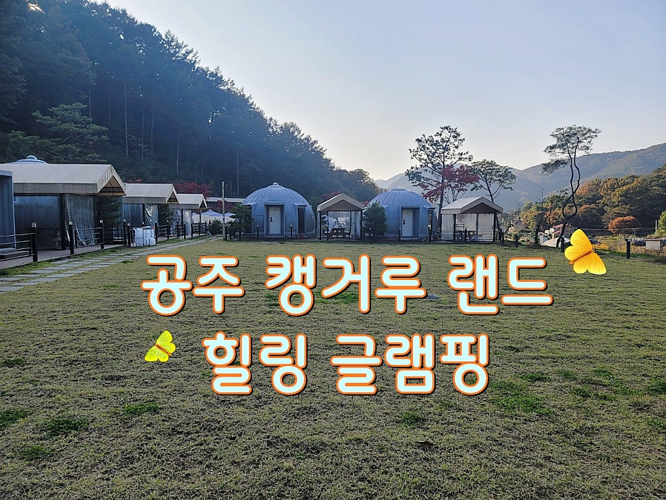 캥거루랜드 사진 1
