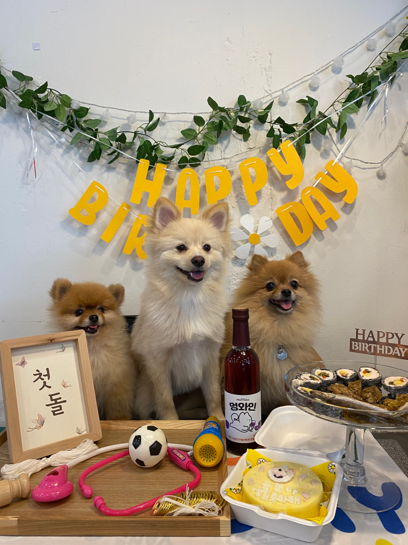 사진 7