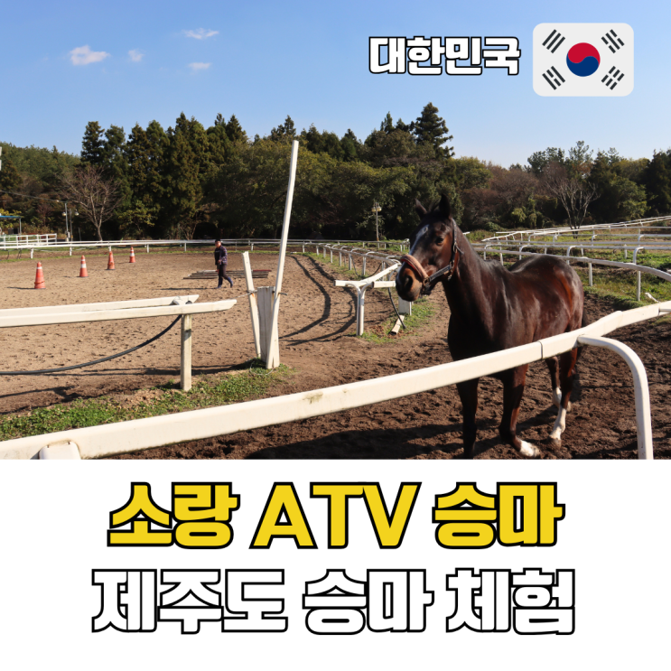  제주도 중문 승마체험 추천 아이와 말타기 비용 시간 소랑 ATV 승마