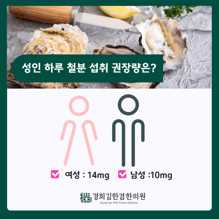  성인 하루 철분섭취 권장량 및 많이 들어있는 음식은?