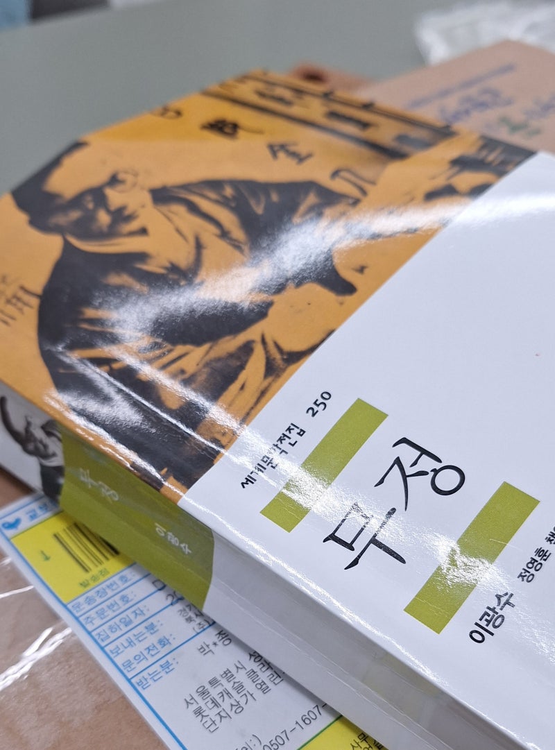 (책 읽고...) 이광수 소설 무정 내용 줄거리 리뷰 독후감