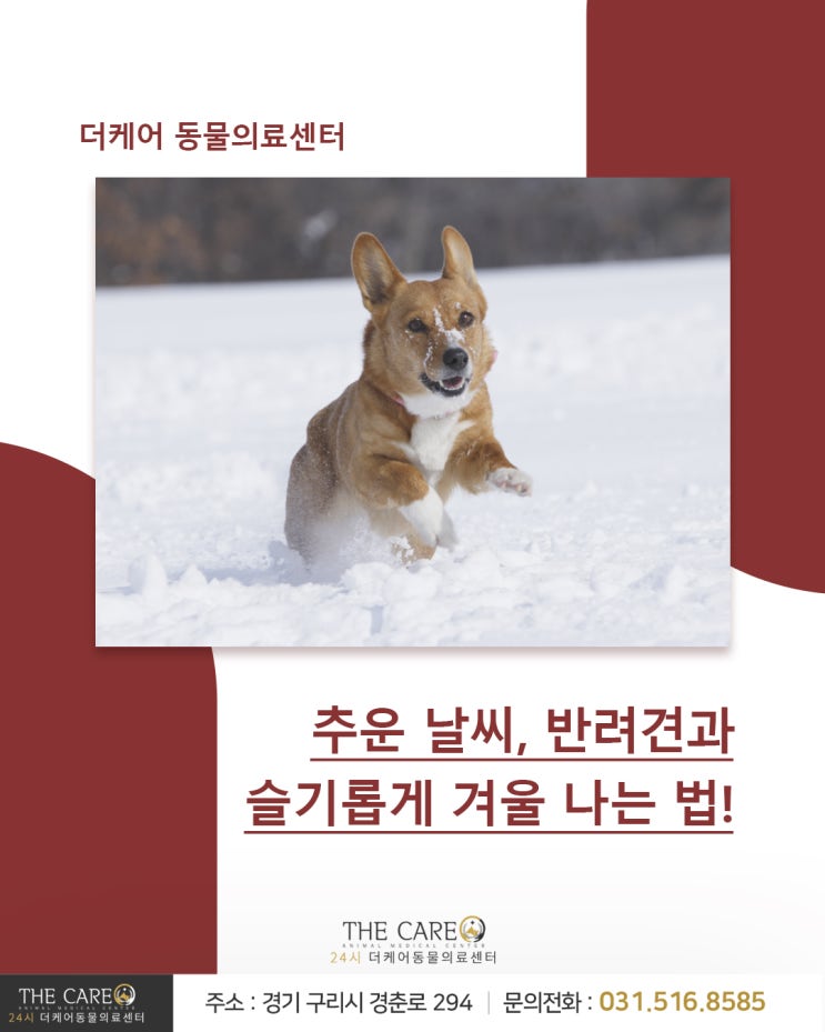  [24시더케어동물의료센터] 추운 날씨, 반려견과 슬기롭게 겨울 나는 법!