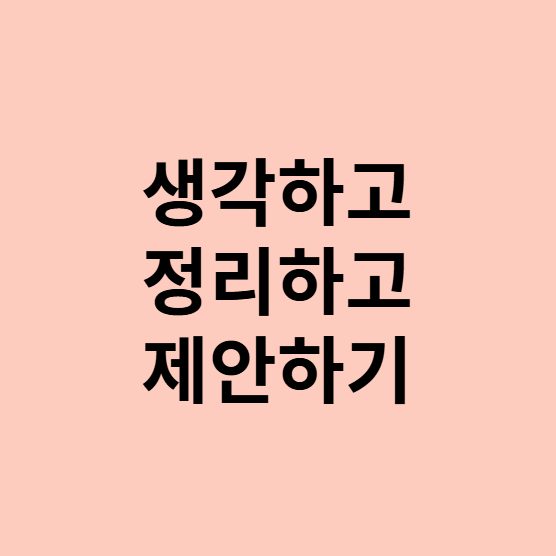  생각하고, 정리하고, 제안하기