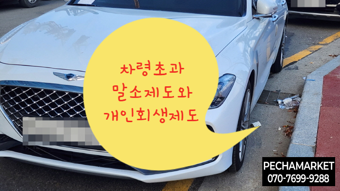  차령초과말소제도와 개인회생제도