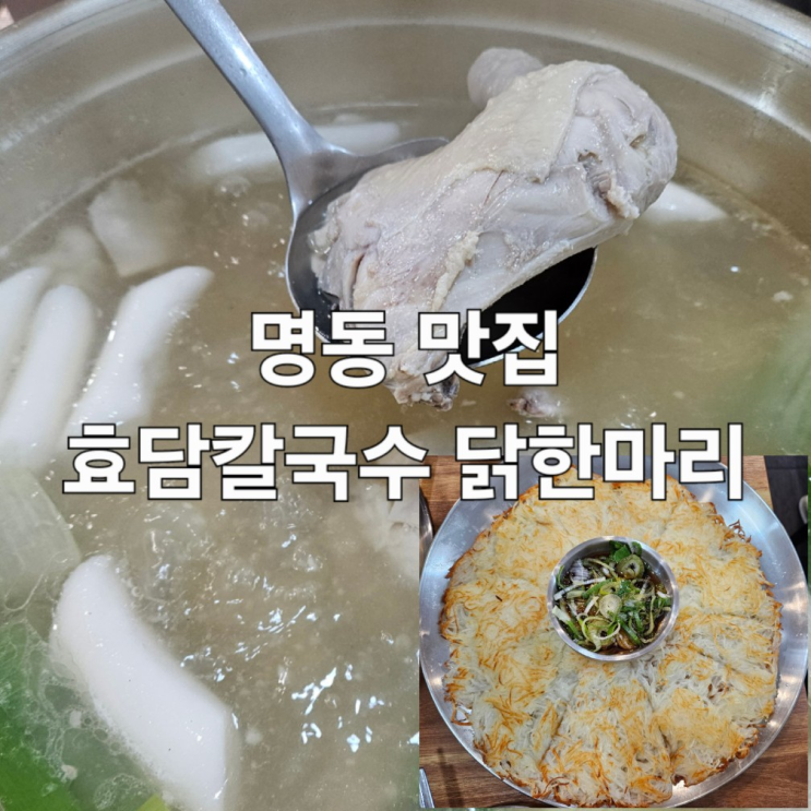  명동 맛집 효담칼국수 닭한마리 명동 본점