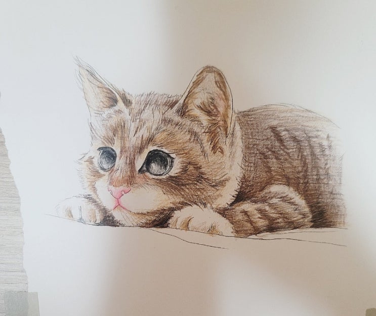  색연필화 연습 4일차, 고양이 그리기 색칠하기