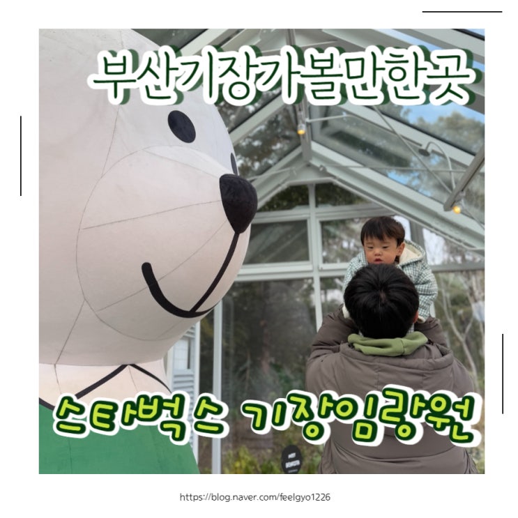  부산 기장 가볼만한곳 곰돌이 포토존 스타벅스 기장임랑원점