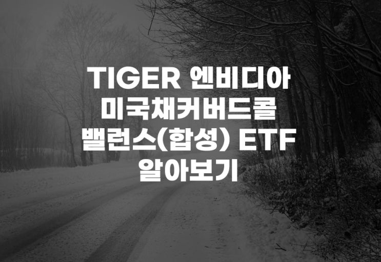  TIGER 엔비디아미국채커버드콜밸런스(합성)[0000D0] ETF 주가 주식