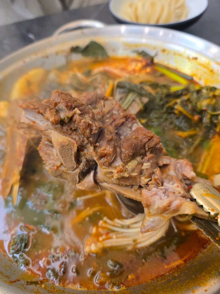  대전 둔곡동 맛집 맛나감자탕 솔직 후기 (역대급임)