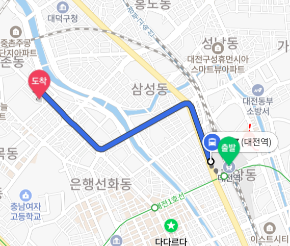 금송오리와삼계탕 사진 5