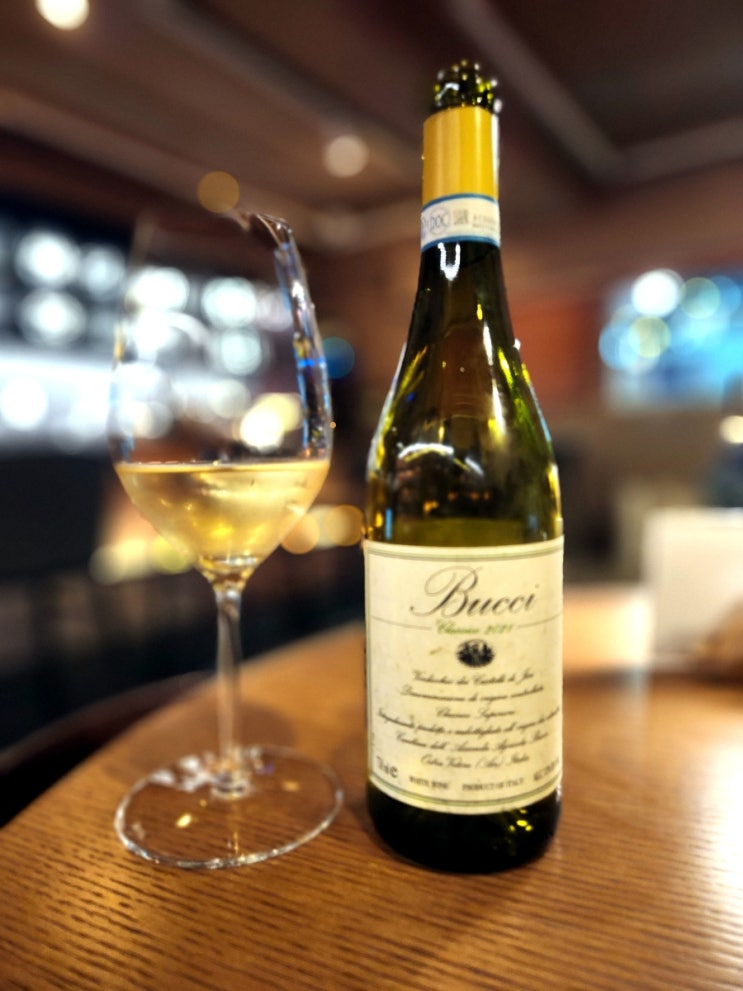 [이탈리아] Bucci Verdicchio dei Castelli di Jesi Classico 2021 - 상쾌하다.